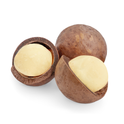 Nuez de Macadamia
